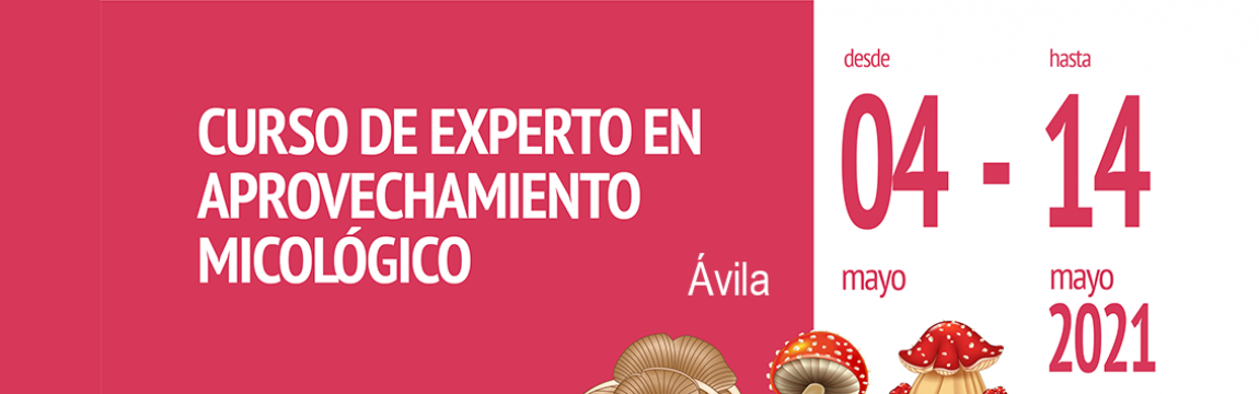 Curso de experto en aprovechamiento micológico