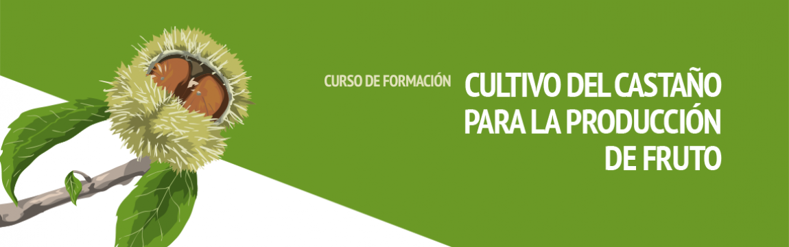 Curso de cultivo de castaño para la producción de fruto