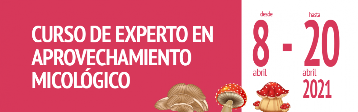 Curso de experto en aprovechamiento micológico