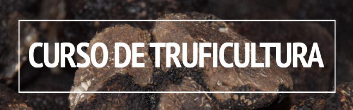 Curso truficultura. Cesefor, Ministerio de Agricultura, Pesca y Alimentación, Junta de Castilla y León