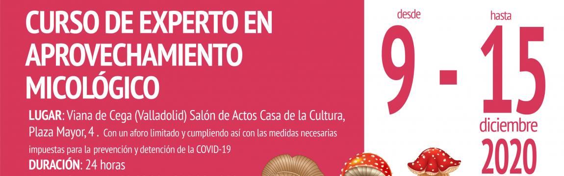 Curso de experto en aprovechamiento micológico