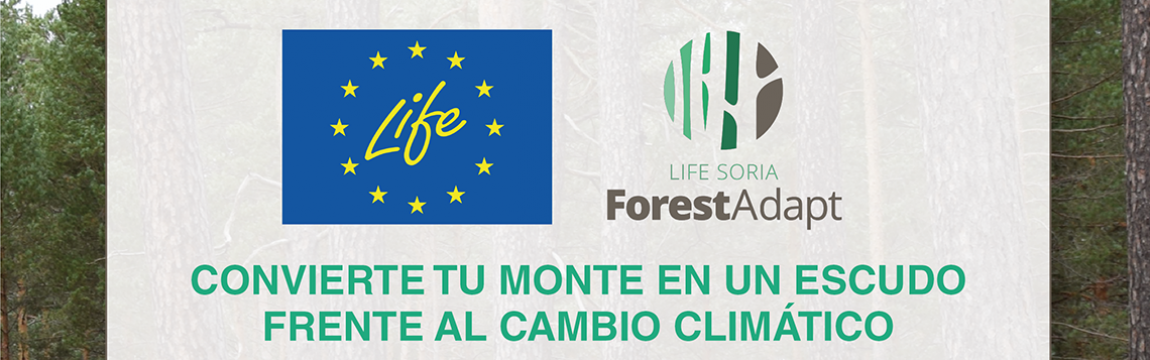  Seminario en línea Life Soria ForestAdapt