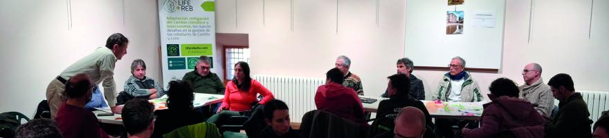 Rebollo Lab celebrado en Riaza (Segovia)