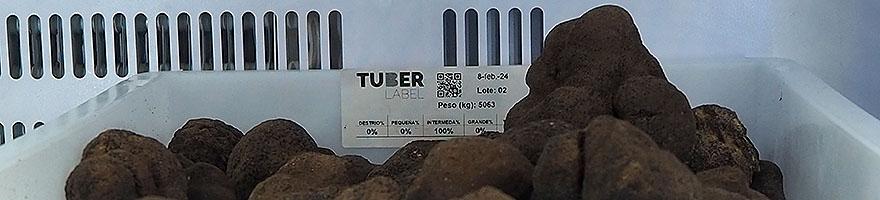 Trufa negra TuberLabel by Concha Redondo