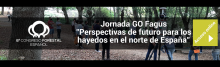 GO Fagus en el 8º Congreso Forestal Español